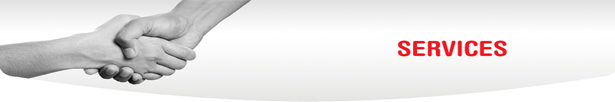 Seaford Educational Consultancy