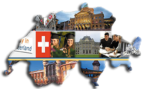 Seaford Educational Consultancy